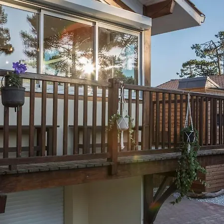 Ocean Garden Surf Holiday home Capbreton